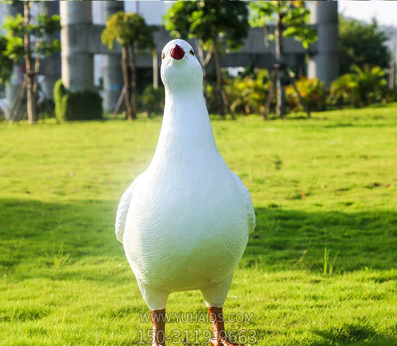 玻璃鋼花園擺件仿真鴿子樹脂雕塑庭院裝飾房頂小件戶外陽(yáng)臺(tái)布置擺設(shè)屋頂