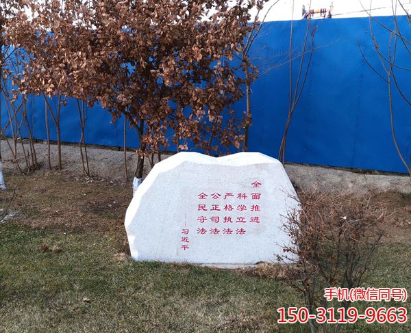 憲法只有不斷適應(yīng)新形勢(shì)才能具有持久生命力 憲法只有不斷適應(yīng)新形勢(shì)才能具有持久生命力